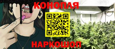 spice Коммунар