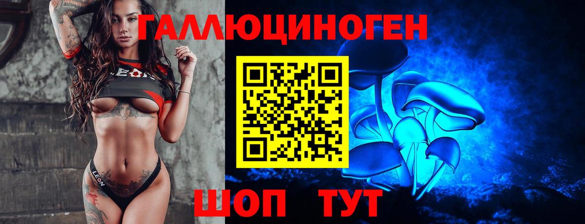 Псилоцибиновые грибы мицелий  Вход с VPN  Котовск  Псилоцибиновые грибы Cubensis 